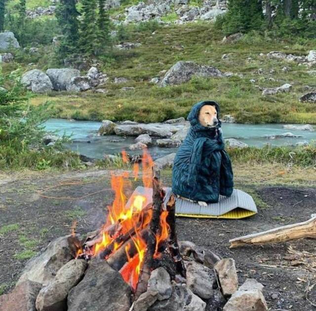 Bildschirmarbeiter - Picdump KW39 2020