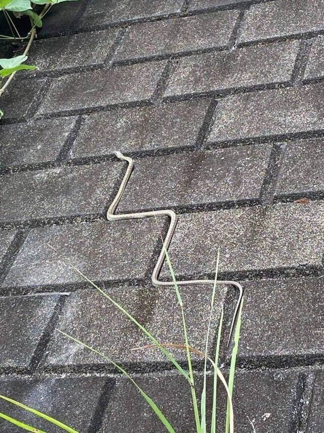 Bildschirmarbeiter - Picdump KW39 2020