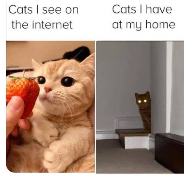 Bildschirmarbeiter - Picdump KW39 2020