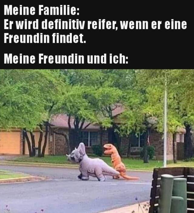 Bildschirmarbeiter - Picdump KW39 2021