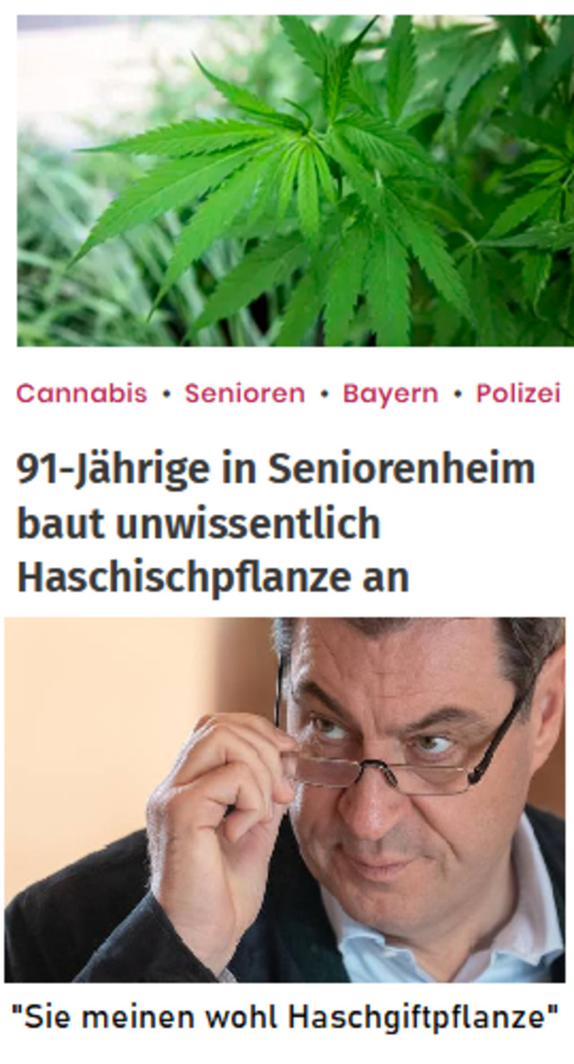 Bildschirmarbeiter - Picdump KW39 2021