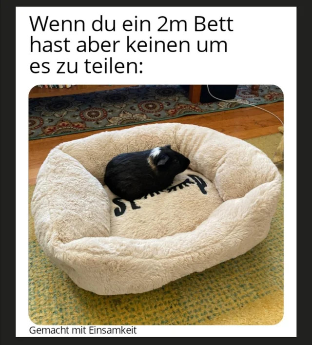 Bildschirmarbeiter - Picdump KW39 2021