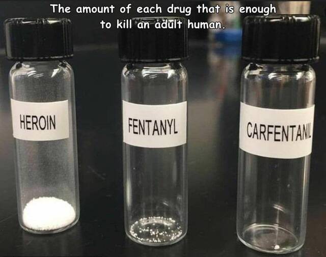 Bildschirmarbeiter - Picdump KW39 2021