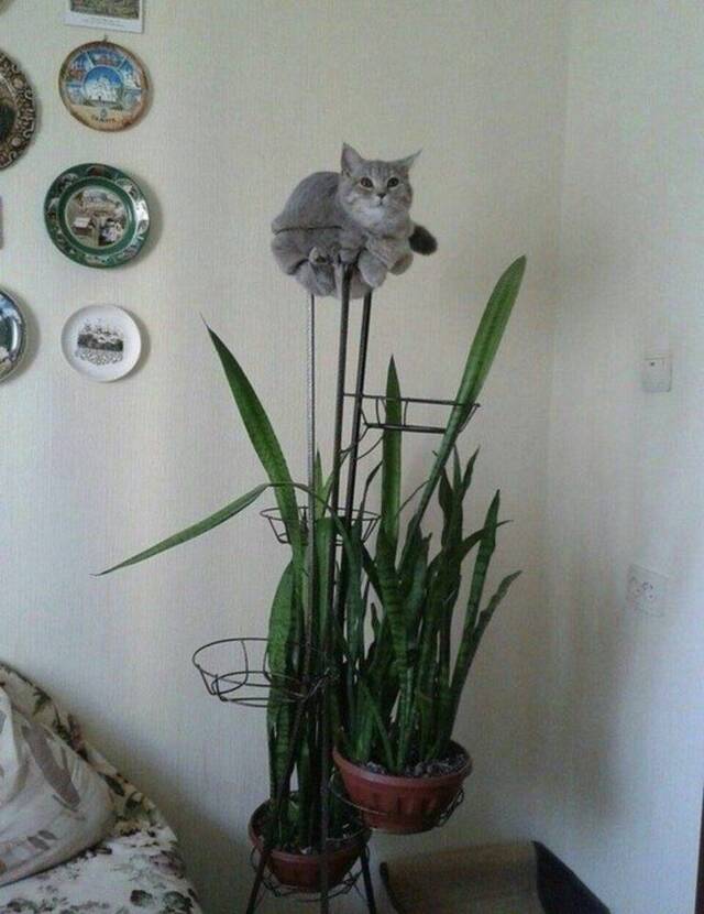 Bildschirmarbeiter - Picdump KW39 2021