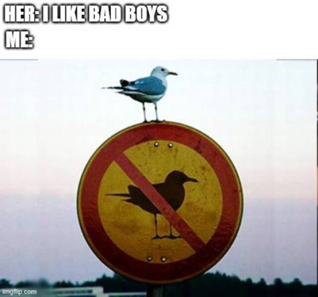 Bildschirmarbeiter - Picdump KW39 2021