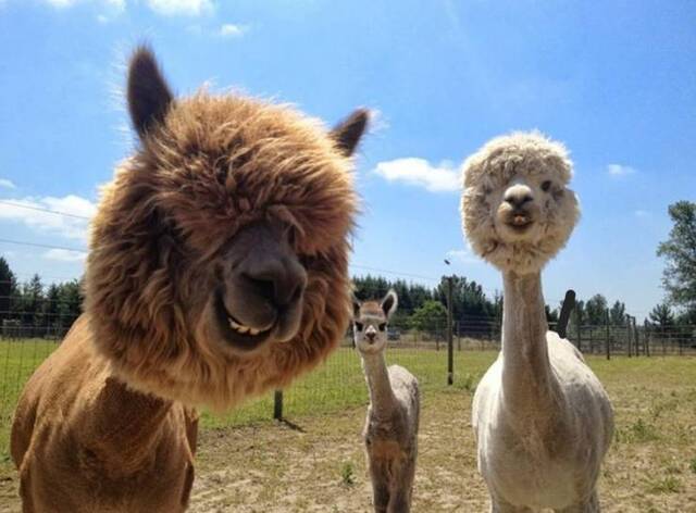 Bildschirmarbeiter - Picdump KW39 2021