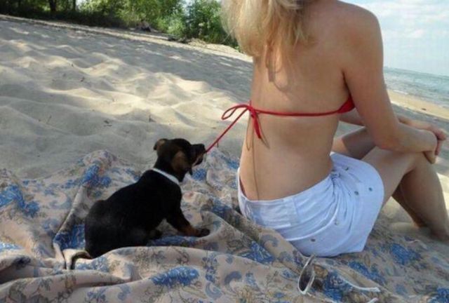 Bildschirmarbeiter - Picdump KW 39/2022