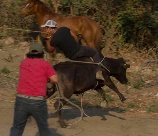 Bildschirmarbeiter - Picdump KW 39/2022