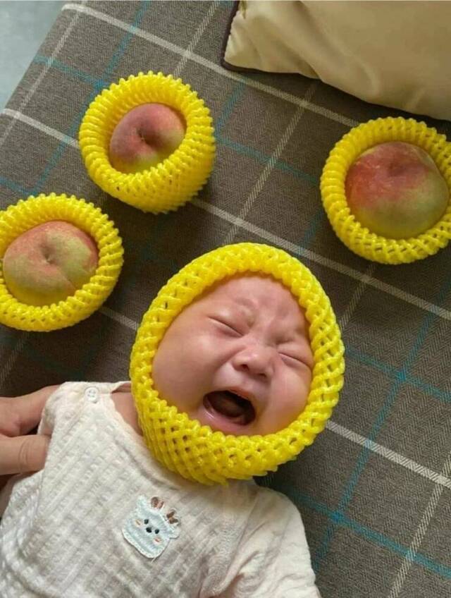 Bildschirmarbeiter - Picdump KW 39/2022