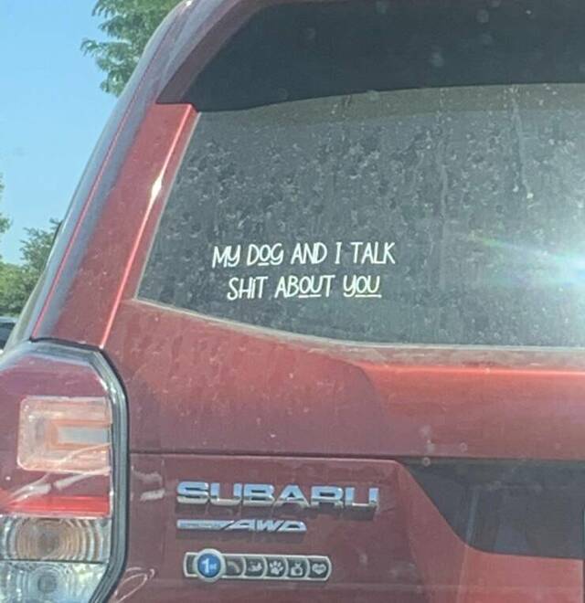 Bildschirmarbeiter - Picdump KW 39/2022