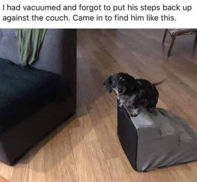 Bildschirmarbeiter - Picdump KW 39/2022