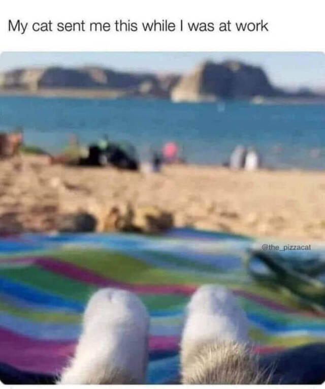 Bildschirmarbeiter - Picdump KW 39/2022