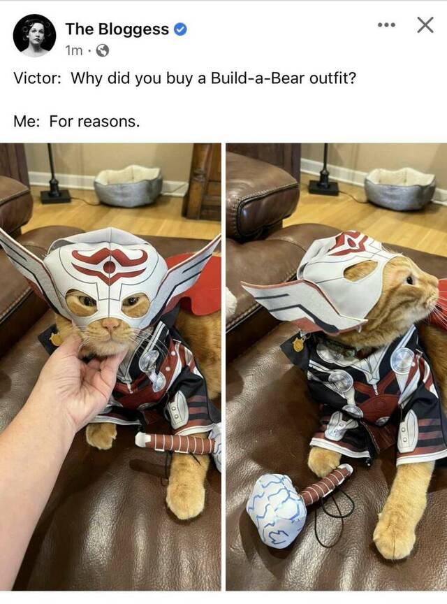 Bildschirmarbeiter - Picdump KW 39/2022