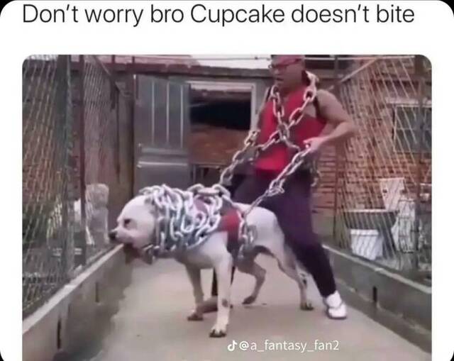 Bildschirmarbeiter - Picdump KW 39/2022