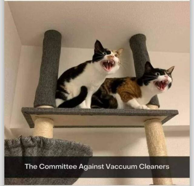 Bildschirmarbeiter - Picdump KW 39/2022