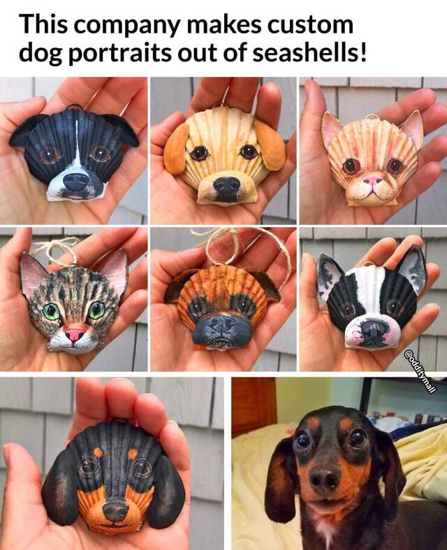 Bildschirmarbeiter - Picdump KW 39/2022