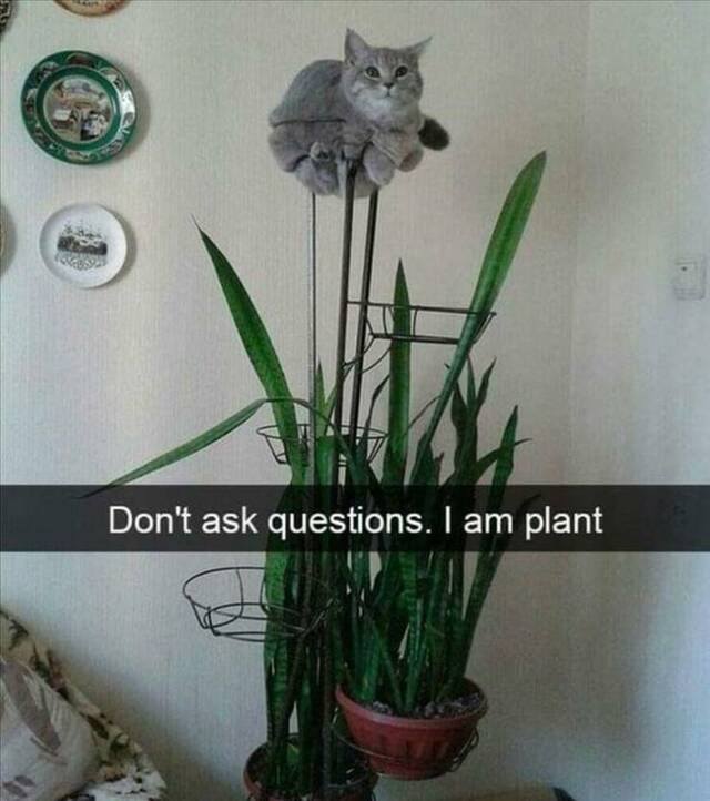 Bildschirmarbeiter - Picdump KW 39/2022