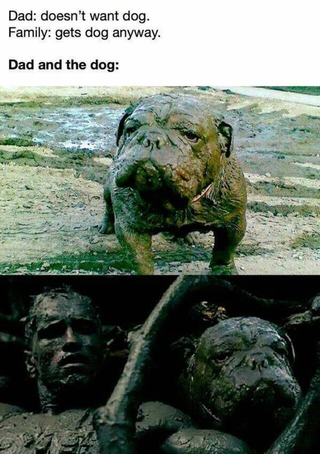 Bildschirmarbeiter - Picdump KW 39/2022