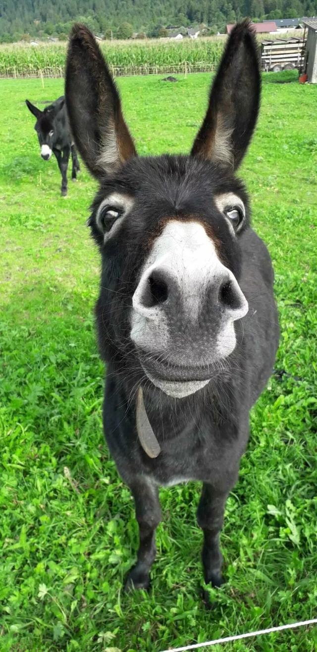 Bildschirmarbeiter - Picdump KW 39/2022