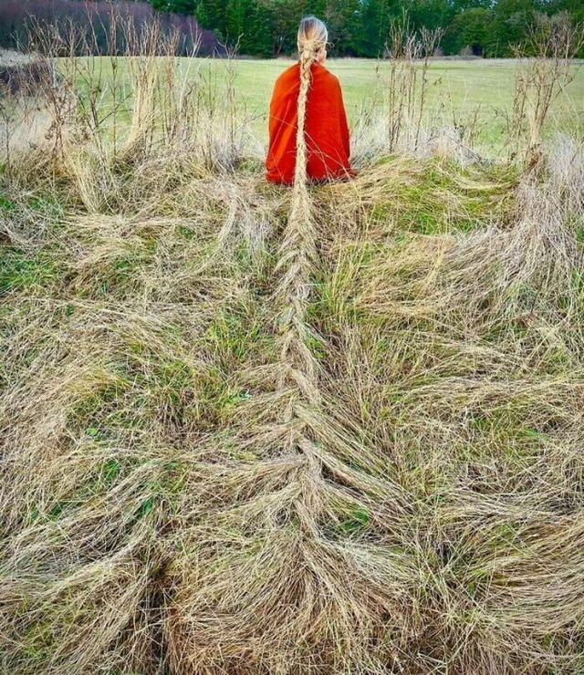 Bildschirmarbeiter - Picdump KW 39/2022