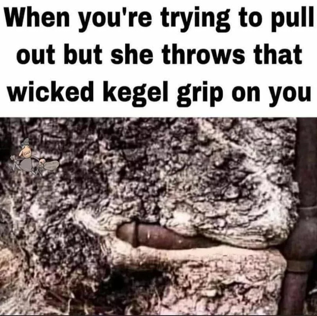 Bildschirmarbeiter - Picdump KW 39/2022