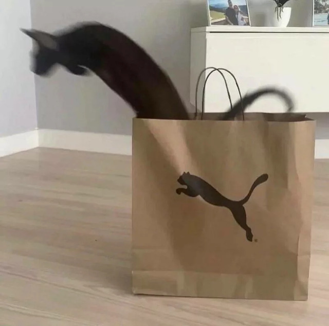 Bildschirmarbeiter - Picdump KW 39/2022