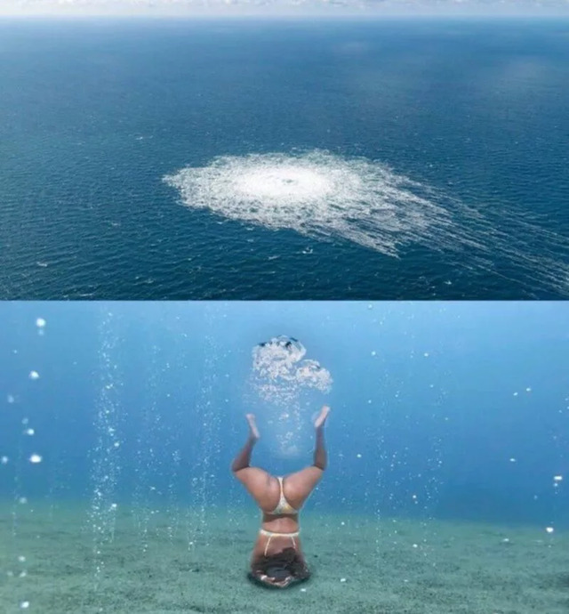 Bildschirmarbeiter - Picdump KW 39/2022