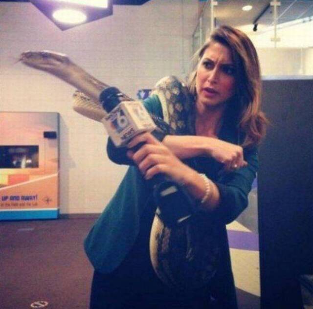 Bildschirmarbeiter - Picdump KW 39/2025