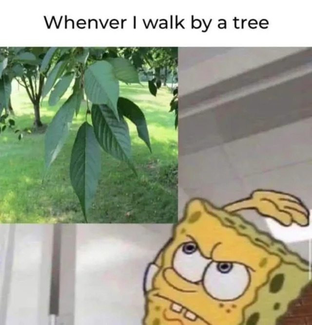 Bildschirmarbeiter - Picdump KW 39/2025