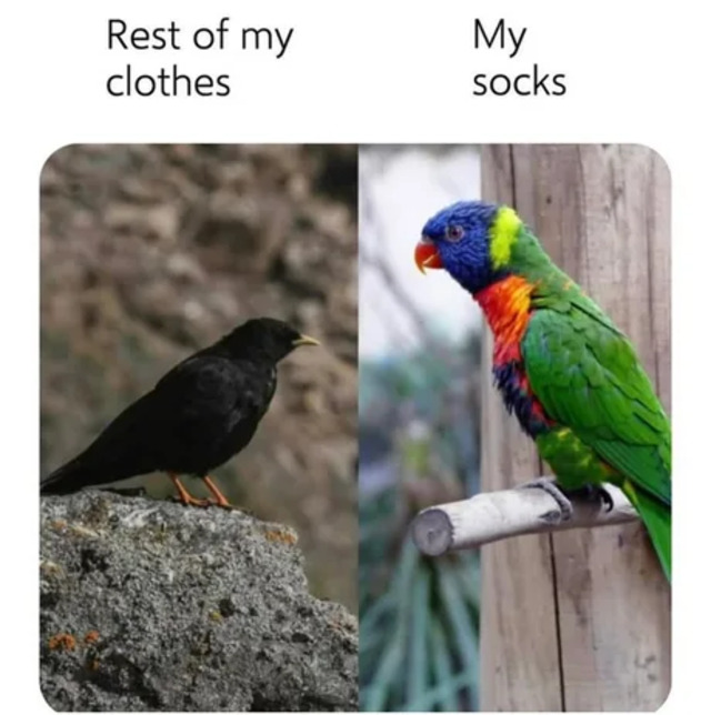 Bildschirmarbeiter - Picdump KW 39/2025