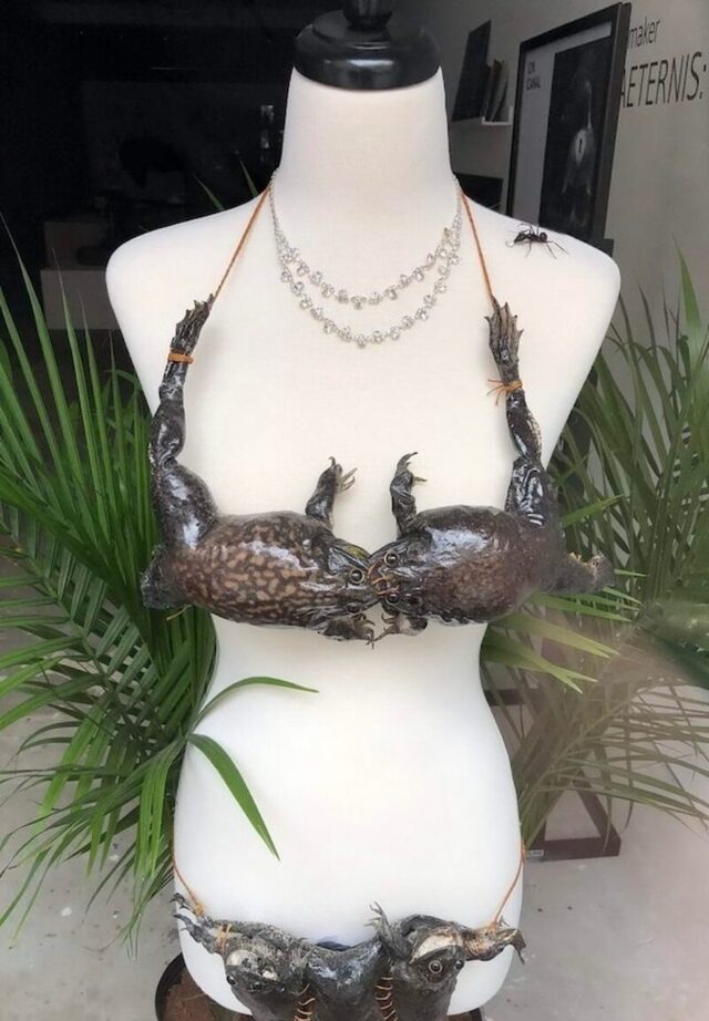 Bildschirmarbeiter - Picdump KW 39/2025