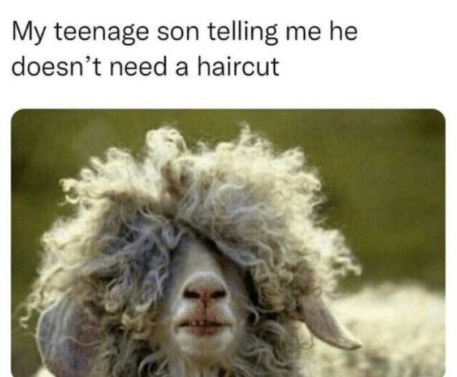 Bildschirmarbeiter - Picdump KW 39/2025