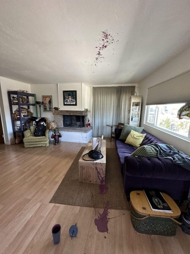 Bildschirmarbeiter - Picdump KW 39/2025