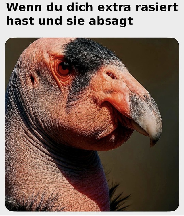 Bildschirmarbeiter - Picdump KW 39/2025