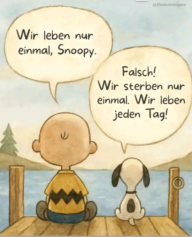 Bildschirmarbeiter - Picdump KW 39/2025