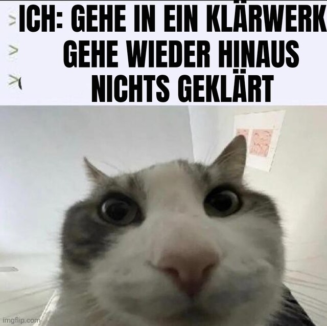 Bildschirmarbeiter - Picdump KW 39/2025