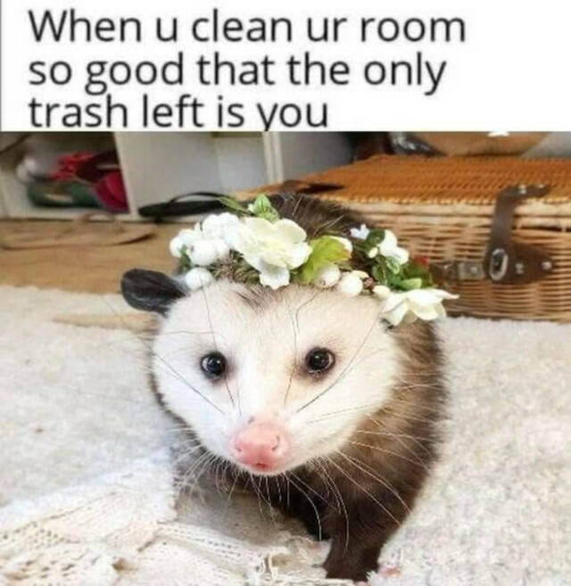 Bildschirmarbeiter - Picdump KW 39/2025