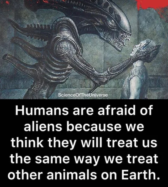 Bildschirmarbeiter - Picdump KW40 2020