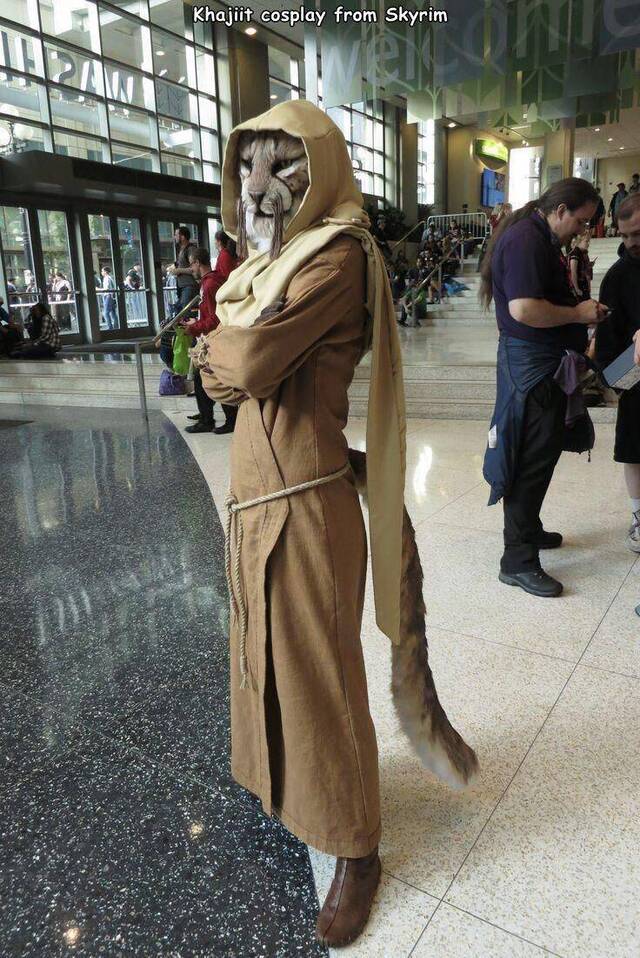 Bildschirmarbeiter - Picdump KW40 2020