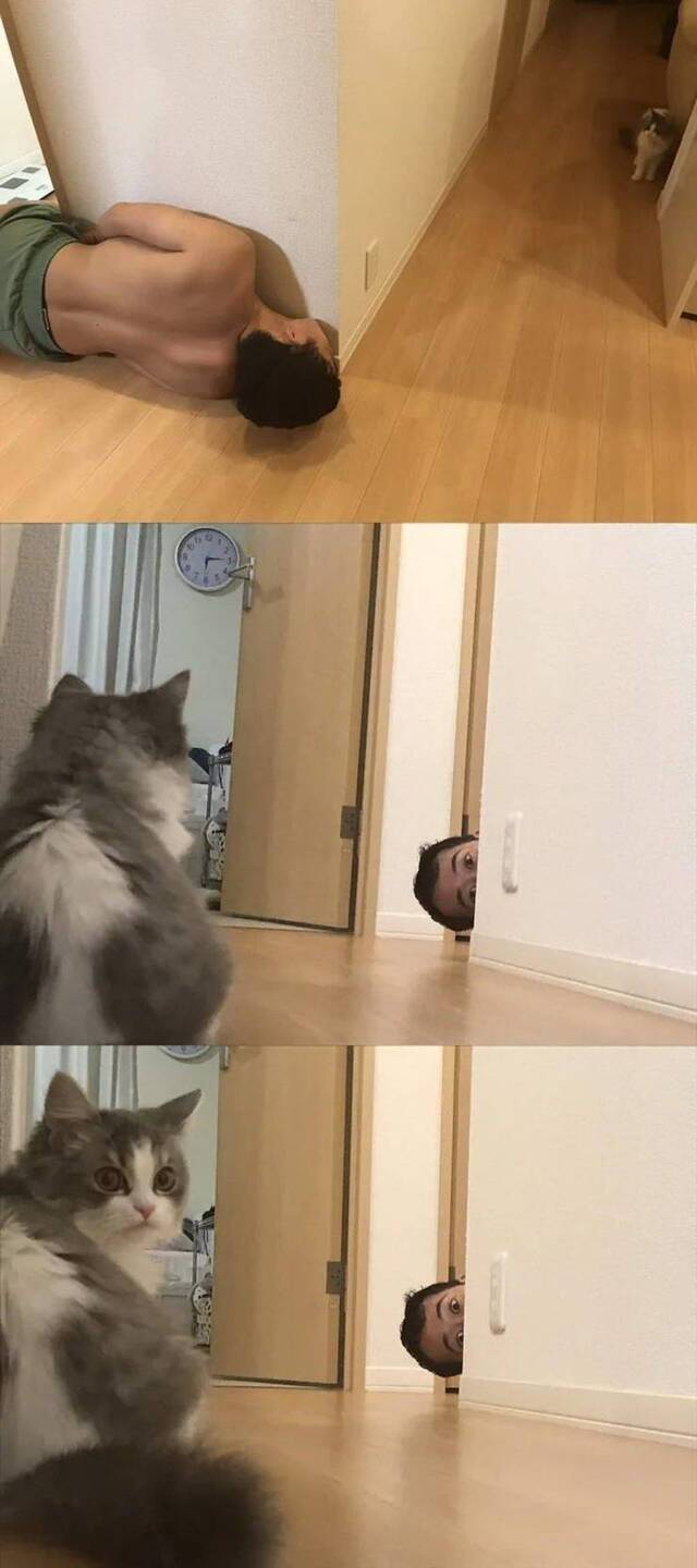 Bildschirmarbeiter - Picdump KW40 2020