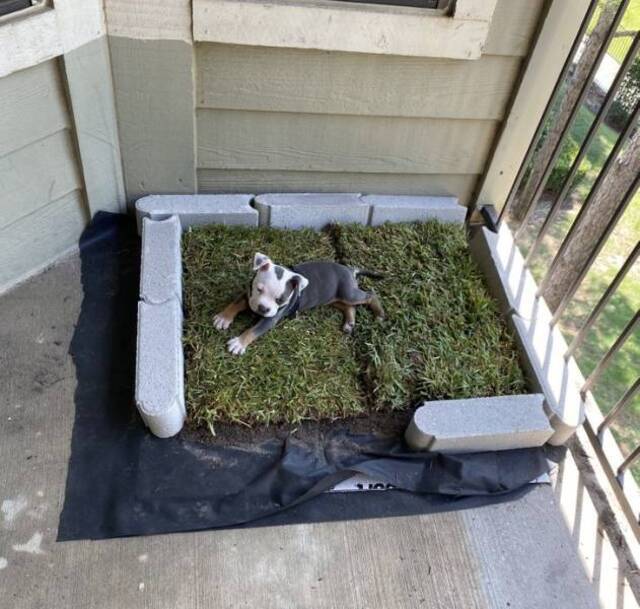 Bildschirmarbeiter - Picdump KW40 2020