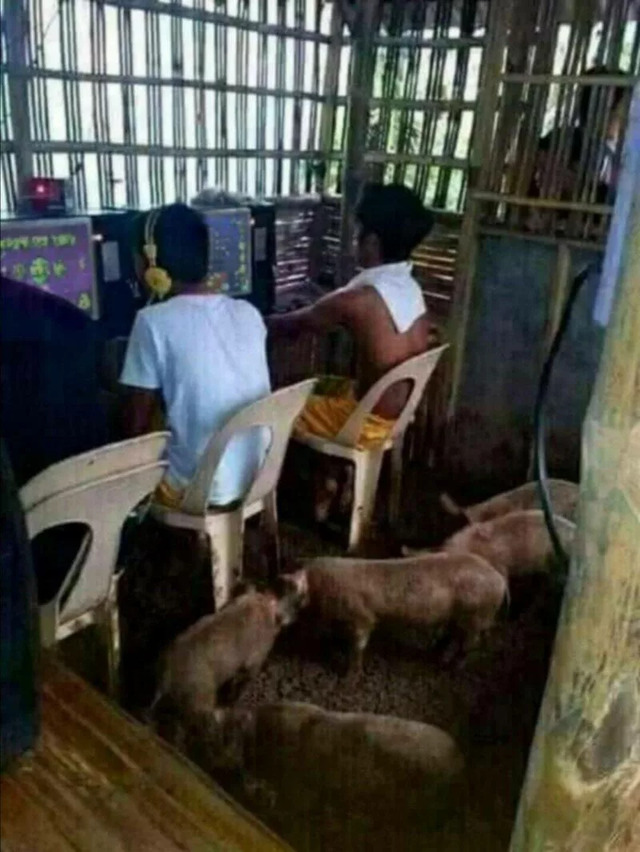 Nachschlag - Bildschirmarbeiter - Picdump KW 40/2022