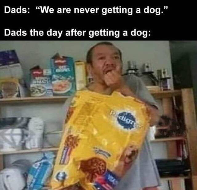 Bildschirmarbeiter - Picdump KW 40/2025