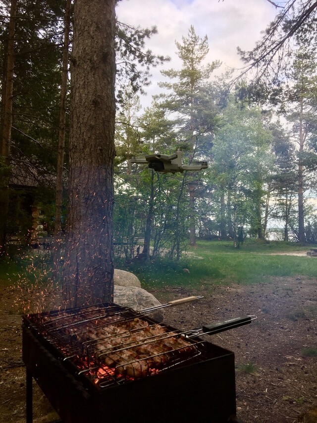 Bildschirmarbeiter - Picdump KW 40/2025