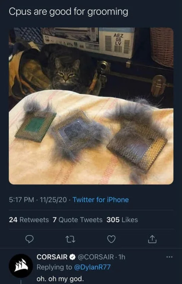 Bildschirmarbeiter - Picdump KW 40/2025