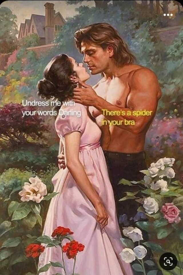 Bildschirmarbeiter - Picdump KW 40/2025