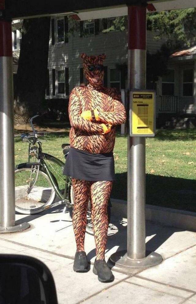 Bildschirmarbeiter - Picdump KW 40/2025