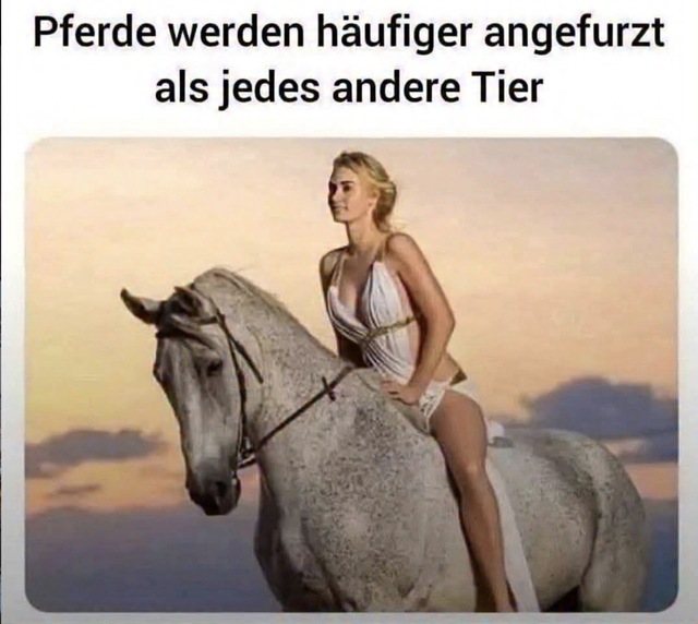 Bildschirmarbeiter - Picdump KW 40/2025