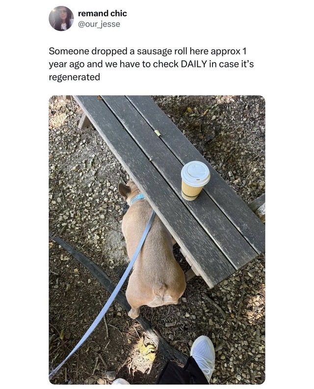 Bildschirmarbeiter - Picdump KW 40/2025