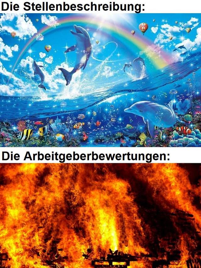 Bildschirmarbeiter - Picdump KW 40/2025